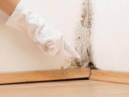 Best Residential Mold Inspection & Testing  in Nanakuli, HI